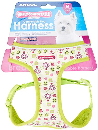 Ancol Lime Flowers Dog Harness – Adjustable Nylon Straps, Quick-Click Buckles, Soft Padded & Breathable Pet Training Accessory, Medium