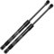 Frankberg 2x Gasfeder Dämpfer Heckklappe Kompatibel mit B.o.r.a 1J6 Kombi 1999-2005 Golf IV 1J1 Schrägheck 1998-2005 P.a.s.s.a.t 3B6 Kombi 2000-2005