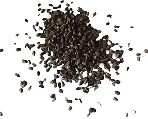 50 semi di erba gatta di Nepeta Cataria, semi di erba gatta da giardino per erbe, bonsai, erba gatta per donne, uomini, bambini, principianti, giardinieri regalo