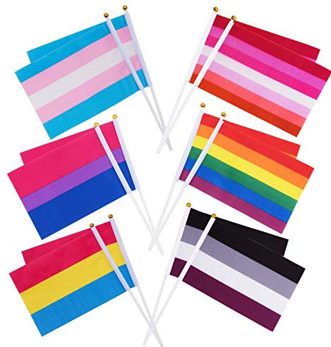 Whaline Lot de 60 mini drapeaux arc-en-ciel Gay Pride - Petits drapeaux transgenres asexuels bisexuels lesbiens - Décorations de fête LGBT (10 pièces de chacun des 6 motifs)