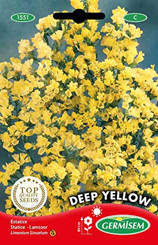 Germisem Deep Yellow Semillas de Statice 0.5 g
