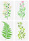 FINGERINSPIRE 4 Stück Blätter Blumen Schablone 21x29.7 cm Farnblatt Schablonen Kunststoff Sonnige Goldrute Farn Blumenmuster Schablone Wildblumenblatt Pflanzenschablone Für Heimwanddekoration