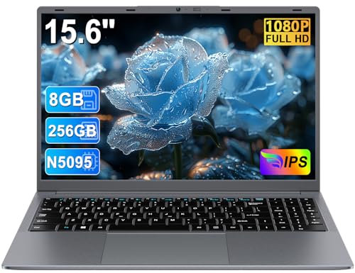 Ordenador Portátil 15.6 Pulgadas Celeron N5095 Upto 2,9 GHz Win11 Pro Laptop 8GB RAM 256GB SSD TF 1TB LPDDR4 5G WiFi 1920*1080 FHD USB 3.0 Widevine L1 Portátil Película Protectora Español - Gris