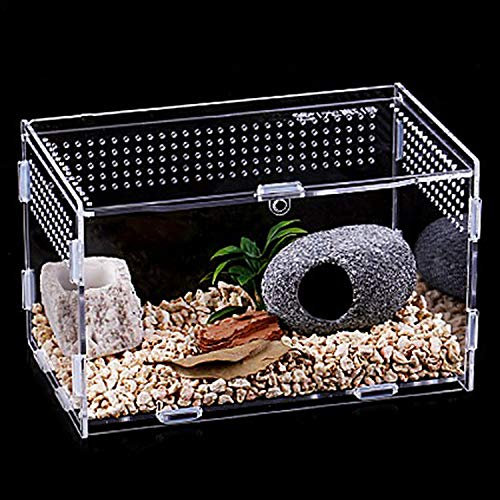 Urtone Reptil Fütterungsbox, Transparent Acryl Reptilienzuchtbox, Zuchtfall für Spide, Skorpion, Tausendfüßler, Gehörnter Frosch, Käfer