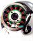 Lichtmaschine 125ccm GY6 BAOTIAN JMSTAR ZNEN YIBEN YIYING 12Phase Retro Roller