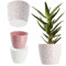 KADAX Blumentopf aus Kunststoff, ⌀ 11 – 21 cm, 5 Farben, einfacher Topf, robuster Pflanztopf, Pflanzkübel, runder Blumentopfschutz für Farn (⌀ 21cm, Rosa)