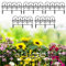 5X Beeteinfassung aus Flexiblem Gartenpalisade Einfass Nostalgie Kunststoff Rasenkante Beetumrandung Beet Zierzaun, Bordüre für Einzäunung, Beete, Rasen, Blumenbeete, Pflanzunge, Anthrazit