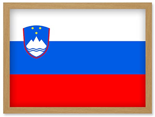 Artery8 Slovenia National Flag Patriotic Vexillology World Flags Country Region Poster Artwork Framed Wall Art Print A4