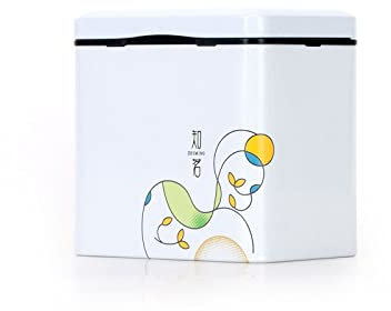 Contenitore ermetico per tè giapponese squisito stoccaggio in latta per tè imballaggio tè bianco Longjing scatola di tè nero