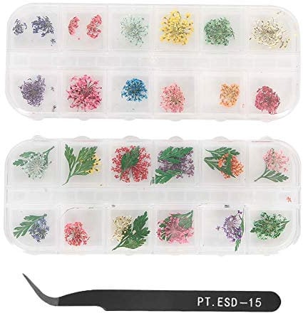 Nail Dried Flowers Real Dried Flowers Set,Nail Art Decoration Dried Flowers Three Dimensional Nail DIY Jewelry Tweezers Set for Nail Art Decor Resin Jewellery