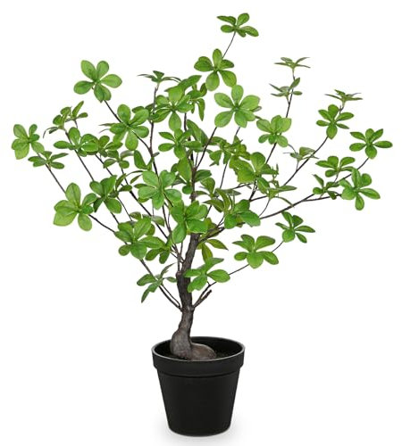 Arborus 55cm Tall Fake Plants Indoor 21.6 Artificial Bonsai Tree Small Fake Japanese Enkianthus Tree in Black Pot Faux Potted Plants House Green Plant for Home Bathroom Office Table Garden Decoration