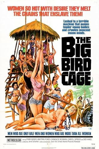 Poster mit großem Vogelkäfig 01, A3, Wandkunst, Heimdekoration, Filmposter, Leinwand, Film, Kino, Retro, Vintage, Kult, klassisch, Nostargie, Saga, moderner Nachdruck, wir drucken jedes Poster für