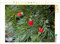 CALVENDO Puzzle Eibe 1000 Teile Puzzle quer | 1000 Teile Lege-Größe 64 x 48 cm Foto-Puzzle für glückliche Stunden