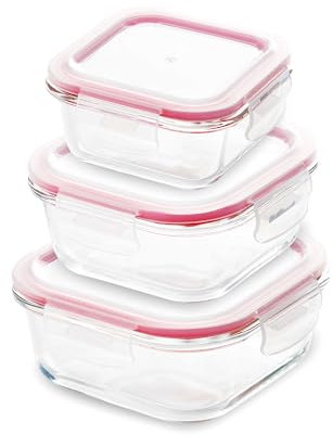 BERGNER Gehen überall - Spiel von 3 Quadratmeter hermetischen Dateien - Hergestellt in resistenter Borosolized - Red Silicon - APT Systemy - Stapelbare Version - ohne BPA