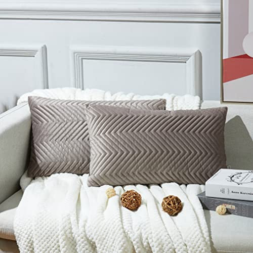 Juliyeh 2er Set Samt Kissen mit Einfarbig Kissenbezug Zierkissenbezug Kissenhüll Dekorative Kissenbezug Sofakissen Couchkissen Dekokissen für Sofa Wohnzimmer Auto 40x60 cm Warmes Grau