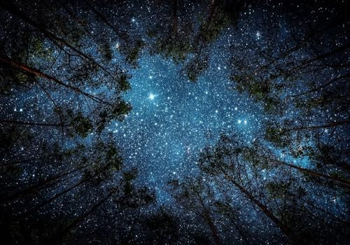 Wesmilewallpapaer Tapete Fototapete 3D Effekt Sternwald Schöne Naturlandschaft Des Nachthimmels 300x210cm Seide Vliestapete Wandbilder Wanddeko Wohnzimmer Schlafzimmer