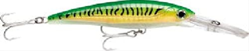 Rapala X-Rap Magnum 20 Gold Green Mackerel