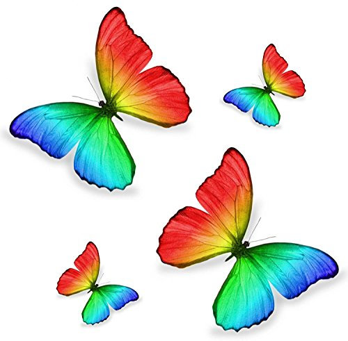 Akachafactory Sticker/Aufkleber Schmetterlinge, Regenbogenfarben, für Auto/Motorrad/Laptop/Dekoration/Kühlschrank, 4-teiliges Set