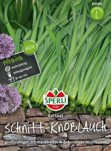 Sperli Schnitt-Knoblauch Fat Leaf