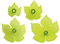 JEM 103FF031 Lot de 4 Emporte Pièces, Plastique, Blanc, 12 x 2 x 22 cm 103FF031