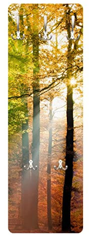 Bilderwelten Flur Garderobe Kleiderhaken Morning Light Braun 105 x 34 cm