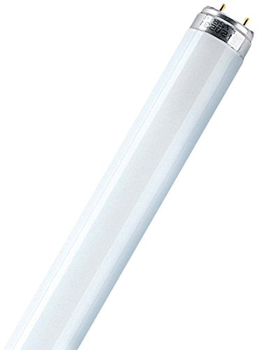 Osram Leuchtstoffröhren 36 Watt, 865 lichtfarbe, L 36 W/865 XT