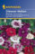 Kiepenkerl Dianthus Mischung (Chineser Nelken)