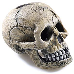 Classic Spooky Skull Fish Tank Ornament, 4-Inch
