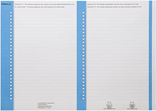 ELBA 947954 Tasche auf 27 Bands Etikette für Mappe, 10 Blatt