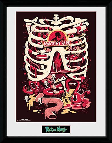 Rick and Morty Poster Anatomie Park Gerahmtes Bild Für Fans Und Sammler | Wand-Bilder | Im Bilderrahmen 40x30 cm