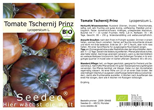 Seedeo® Tomate Tschernij Prinz (Lycopersicum L.) 25 Samen BIO