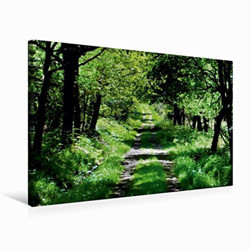 CALVENDO Toile Textile de qualité supérieure 75 cm x 50 cm - Foret de Brocéliande - Tableau sur châssis - Impression sur Toile véritable Orte