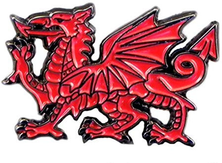 Metal Enamel Pin Badge Wales Red Dragon Welsh National Cymru