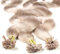 hair2heart Extensions Echthaar Bondings Gewellt - 25 Strähnen 1g 50cm 9/31 lichtblond gold-asch