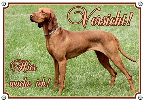Petsigns Warnschild Magyar Vizsla Kurzhaar - stabiles Metallschild bis DIN A3 bestellbar, DIN A3