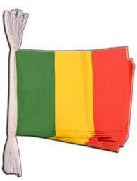 Digni Guirlande Drapeau Mali - 5,9 m