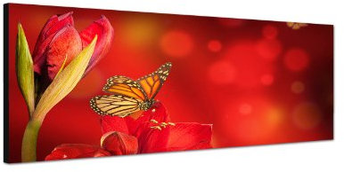 Augenblicke Wandbilder Keilrahmenbild Wandbild 150x50cm Gerbera Blüte rot Schmetterlinge