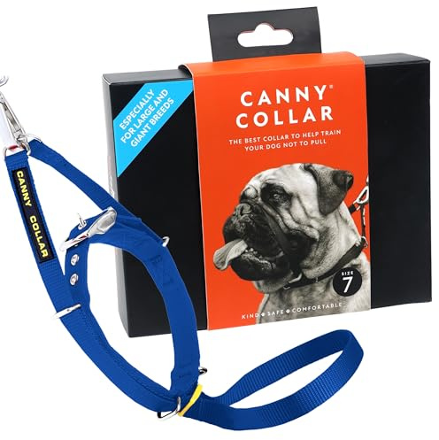 Canny Collar No-Pull Dog Headcollar | Train Your Dog To Stop Pulling & Walk On a Regular Collar & Loose Lead | Kind, Safe, Comfortable Training Aid | Blue – Size 7