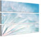 Pusteblume Sommerbild 140x100 cm - 3 TEILIGES FOTOWANDBILD topaktuelles Design topaktuell Leinwand auf Keilrahmen Kunstdruck XXL in brillanter Farbqualität moderne Bilder Dekobilder Wanddekoration schöner wohnen