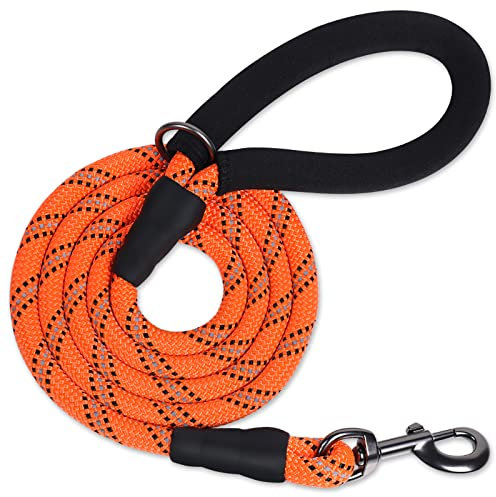 VIVAGLORY Laisse pour Chien en Corde Solide avec Poignée Rembourrée en Néoprène Doux et Fils Réfléchissants, Laisse de 180CM pour Entraînement et Promenade Chiens Petits Moyens, Orange