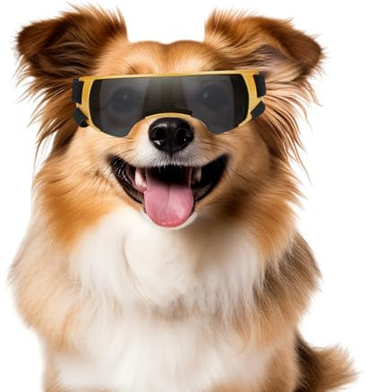 NAMSAN Sonnenbrille für Kleine Hunde Schutzbrille für Kleine Hunde Winddichte UV-Schutz Wasserdicht Hundebrille Welpen mit Einstellbar Gummiband-Golden
