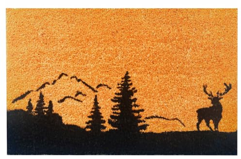Relaxdays Fußmatte Kokos 60x40, Türvorleger Landschaft, rutschfest, Natur | wetterfest, Fußabstreifer innen & außen