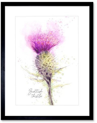 Wee Blue Coo Scottish Thistle Flower Head Watercolour Scotland Framed Wall Art Print