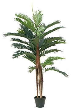 EUROPALMS Kentia Palme, Kunstpflanze, 120cm | Natürlich aussehende Palme mit Naturstamm, Wedel aus hochwertigem Textil