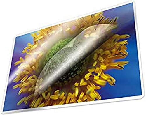 Kangaro Laminierfolie A4 216x303mm 100 micron 100 Blatt