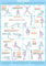 Exercise Poster Circuit Training Chart (A1 Laminated)