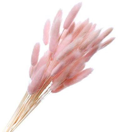 Vaguelly 60 Stück Schweifgras-getrocknete Blumen Für Hochzeitsdekoration Home Office Decor