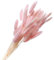 Vaguelly 60 Stück Schweifgras-getrocknete Blumen Für Hochzeitsdekoration Home Office Decor