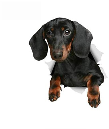 SAPHON 3D Hunde Aufkleber Autoaufkleber 15Cm D Schwarzer Dackel Hund Aufkleber Autoaufkleber Aufkleber Skateboard Laptop LKW Motorräder Auto Zubehör PVC,