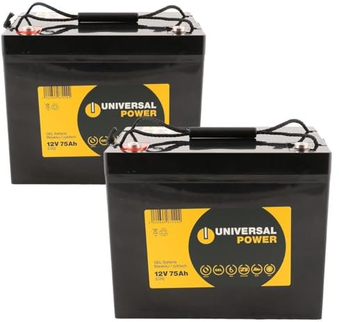 Ersatzakku für Advanced Technolgy Alle Modelle 24V 2 x 12V 75Ah